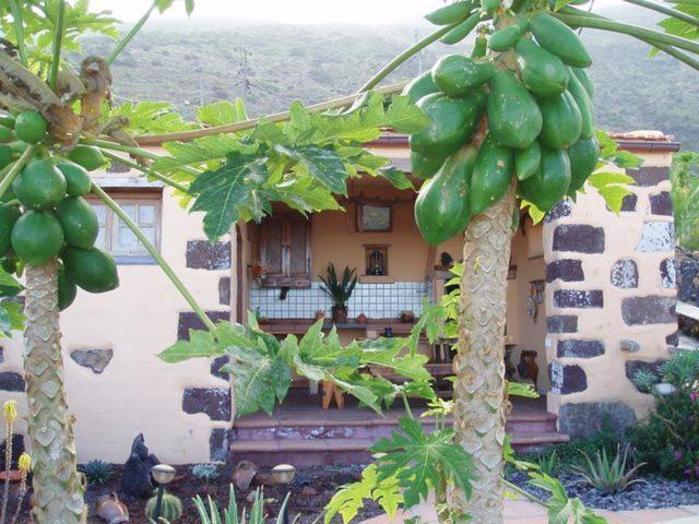 Casa De Mi Abuela Maria Pensionat Frontera Exteriör bild